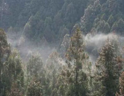 健康